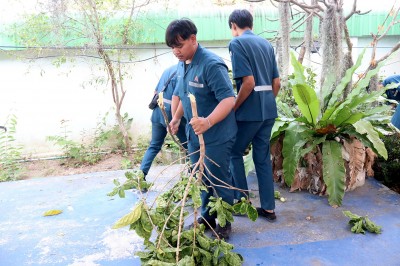 420805625_881857443726996_817869764278053767_n.jpg